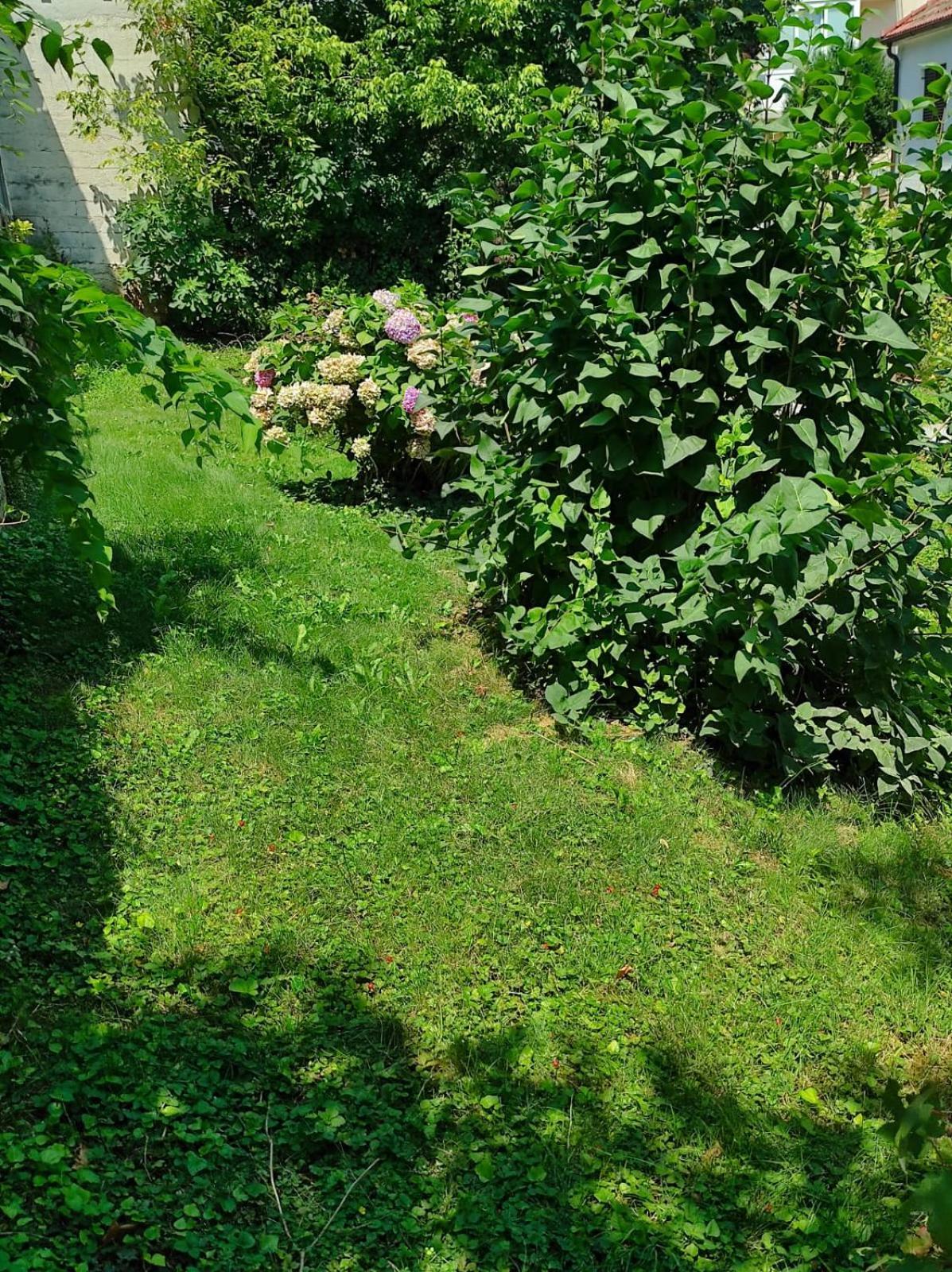 Apartman Zagreb,Rebro,Maksimir,Centar Marko Exterior photo