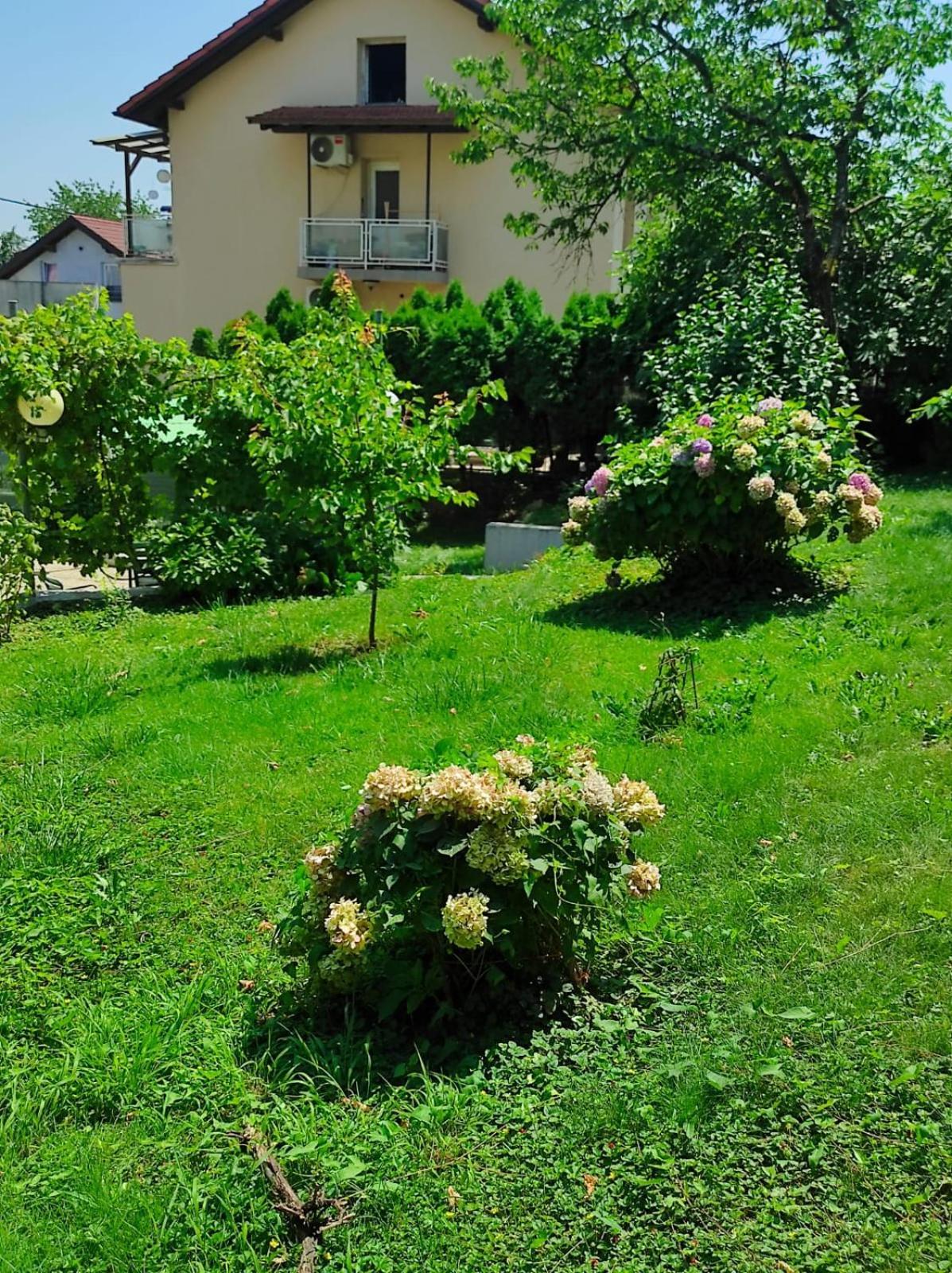 Apartman Zagreb,Rebro,Maksimir,Centar Marko Exterior photo